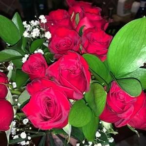 Meet your Posher, Chelsey